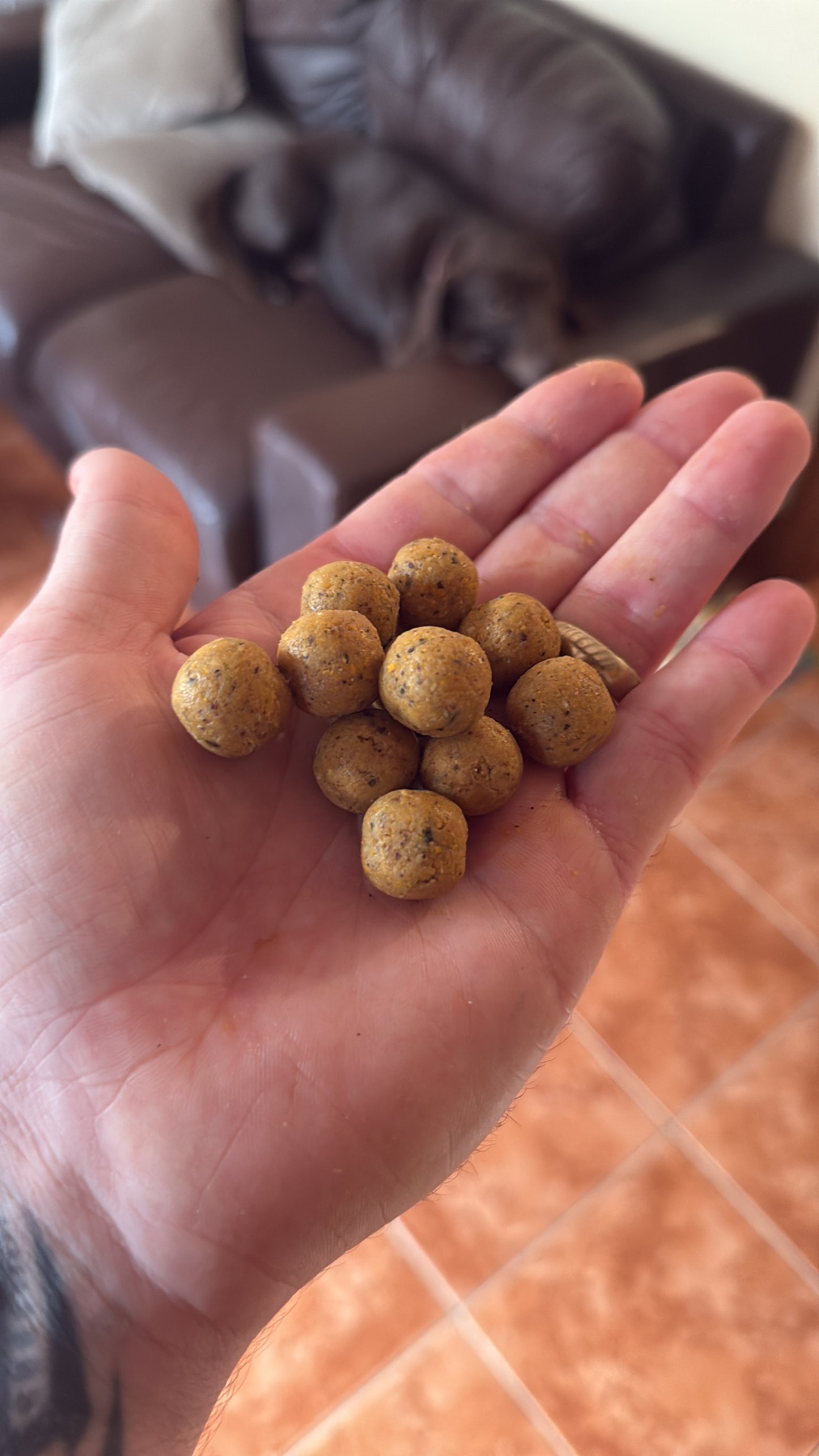 It’s A Bite UK Tigernut and Dairy Cream 16mm Shelf Life Boilies
