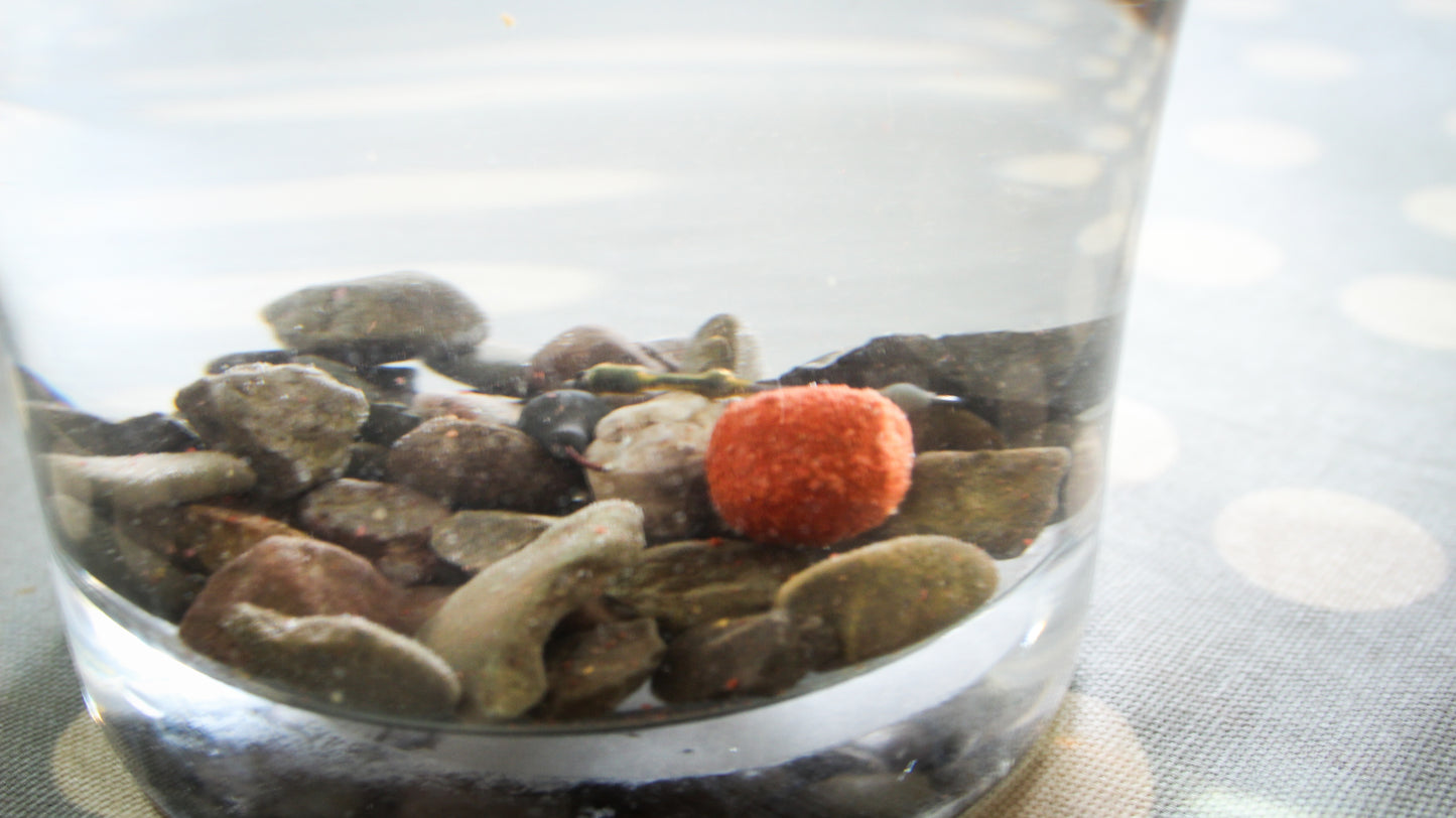 Monster Squid & Plum Coated Hard Hook Baits