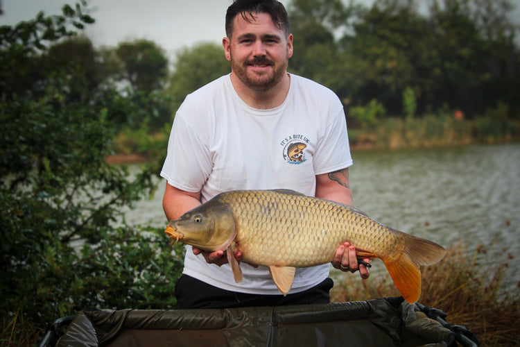 MERCHANDISE & ACCESSORIES