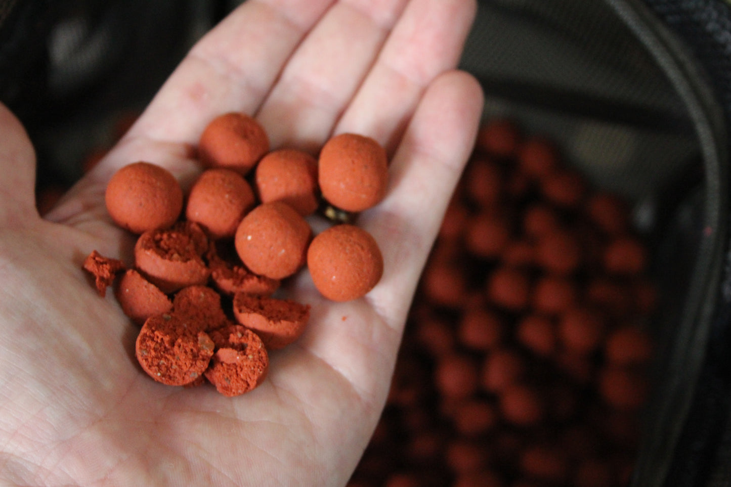 It’s A Bite UK Monster Squid & Plum Shelf Life Boilies