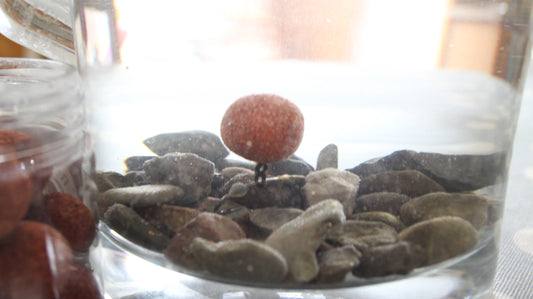 Monster Squid & Plum Mixed size Cork Dust Wafters