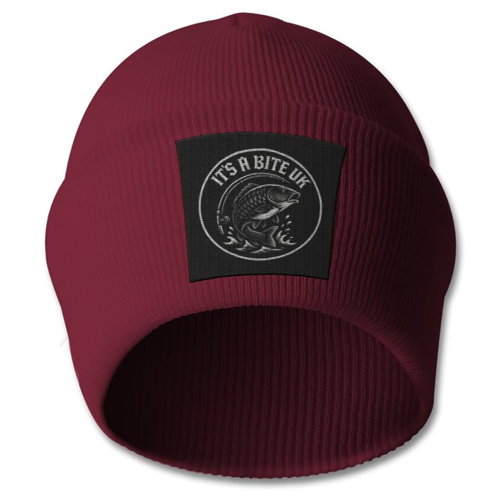EMBROIDERED BEANIE HAT