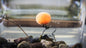 Tigernut, Dairy Cream & Pepper 14mm Marbled Orange & Pink Pop Up Baits