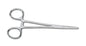 DINSMORE 8" (20CM) STRAIGHT STAINLESS STEEL FORCEPS